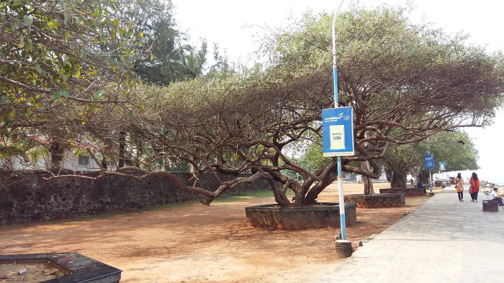 Niya Nest Homestay Kochi Exteriér fotografie
